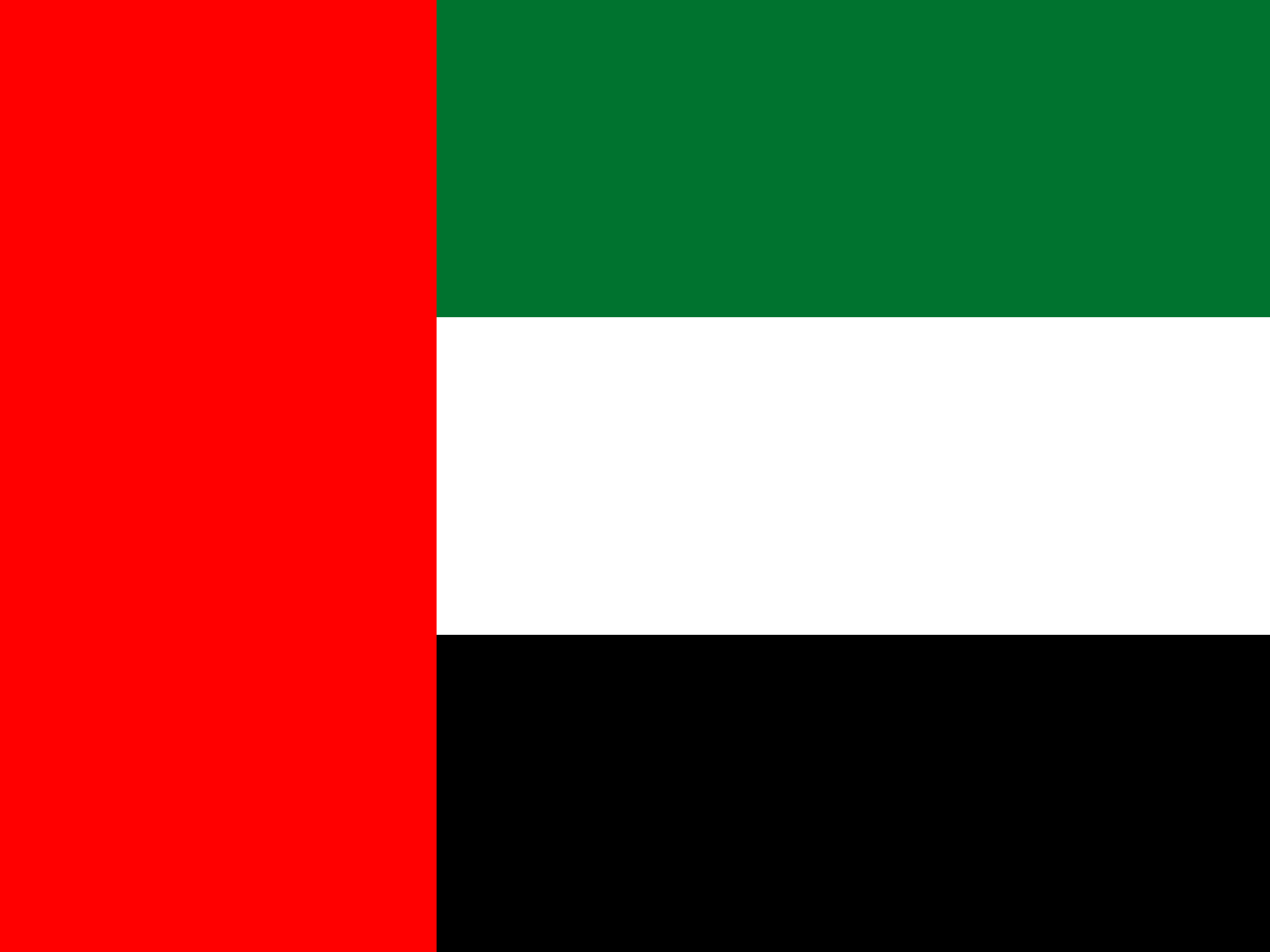 Dubai (United Arab Emirates) Flag