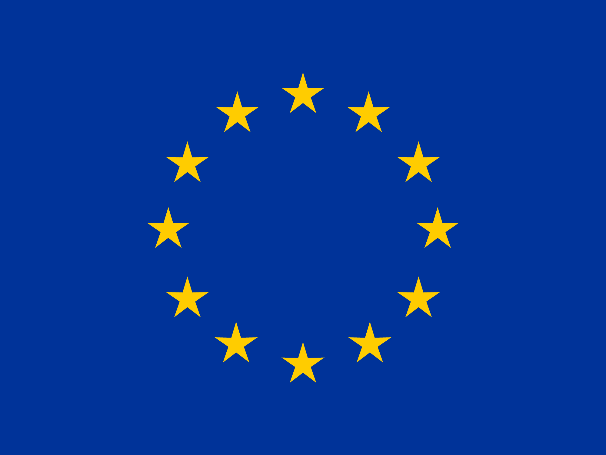 European Union Flag